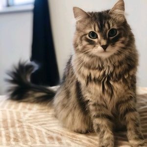 Meet your Posher, Jean